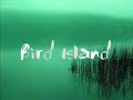 Bird Island - ANGELO BRANDUARDI