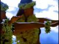 Bird Island - ANGELO BRANDUARDI