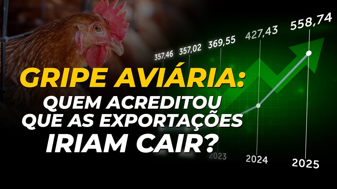 GRIPE AVIÁRIA: QUEM ACREDITOU QUE AS EXPORTAÇÕES IRIAM CAIR?