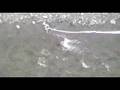 Nevis Bungy USA XC