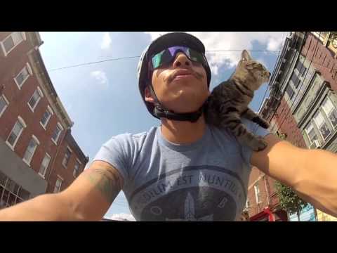 Tour de Kitty – Bicycling Cat