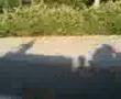 videos de Runner 210 Malossi