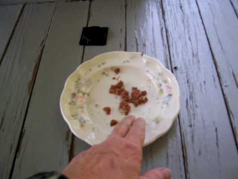 Water Bag Fly Deterrent - Part 2