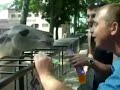 Puszi helyett ez is j� lesz?