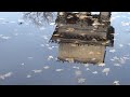 Tarn�w