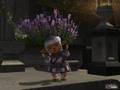 taru can do anything