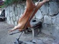 ASADOR.CL ; la experiencia de asar.