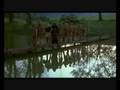 videos de Attila _Rollo funebre