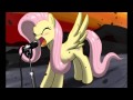 Equestria, Friendship!