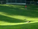 Downhill Downhill