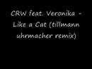 this song had to be put on youtube cus i'm always pissed off that i cant find it