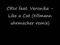 CRW feat. Veronika - Like a Cat (tillmann uhrmacher remix)