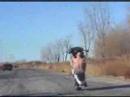 Motorcycle Stunts & Tricks Motorcycle Stunts & Tricks