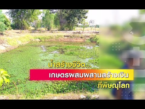 สารคดีการเกษตร ตอน น้ำสร้างชีวิต... เกษตรผสมผสานสร้างเงิน ที่พิษณุโลก