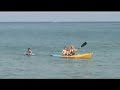Shark Bait