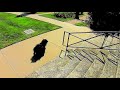 The Adventures of Rasta Bowwow - Episode 1839 - 08 28 2018
