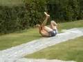 videos de glissade de ouf