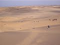 Sandboarding, Namibia