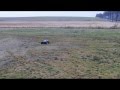 RC ACTION
