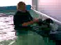 Four Paws Aqua Dog Hydrotherapy Pool - Alfie Four Paws Aqua Dog Hydrotherapy Pool - Alfie