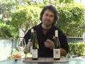 Wine Reviews - German Rieslings
