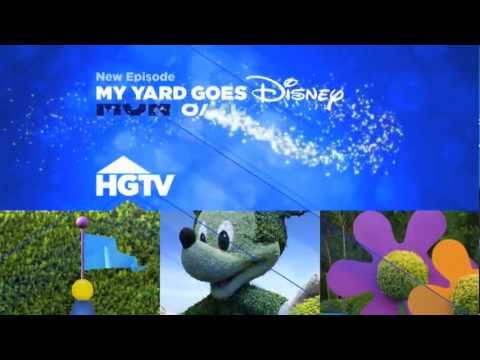 how to be on my yard goes disney