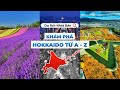 Tour Nhật Bản 6N5Đ: Hà Nội - Hokkaido - Sapporo - Biei - Otaru - Tokyo