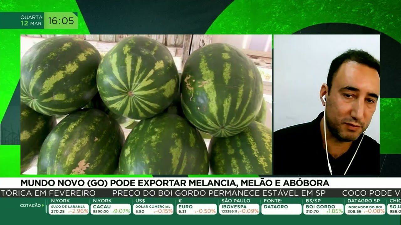 Mundo novo (GO) pode exportar melancia, melão e abóbora