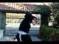 Natix the return training  CYB Electro danse...
