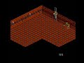 a walkthrough of the immortal (nes version).