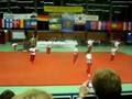 Martial Arts Europa Meisterschaft Hannover 04.11.2007