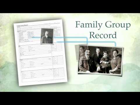 how to search family tree