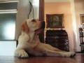 videos de Le mie bimbe