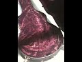 DBZ Guitars: Custom Reptile Flame Bolero for Adam Zadel of SOiL (iPhone Video)