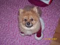 riley icon