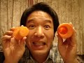 Carrot ocarina Slide type - Old Folks at Home
