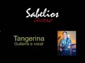 sabelios groove   perfect strangers  deep purple  viradouro