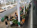 SET�BAL - MERCADO DO LIVRAMENTO
