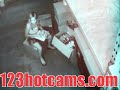 Spy cam shows manager walking in on hot young secretary