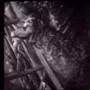 Gammera the Invincible movie clip