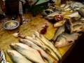 videos de Unit-4 Fish Market at Bhubaneswar