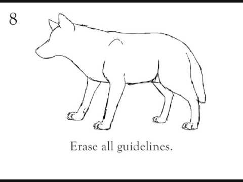 how to draw step by step a wolf