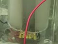 Hydrogen Tap 1 Series 3(Plates In Plastic Tube) #34