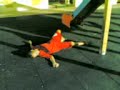 ostion en el parque ostion en el parque