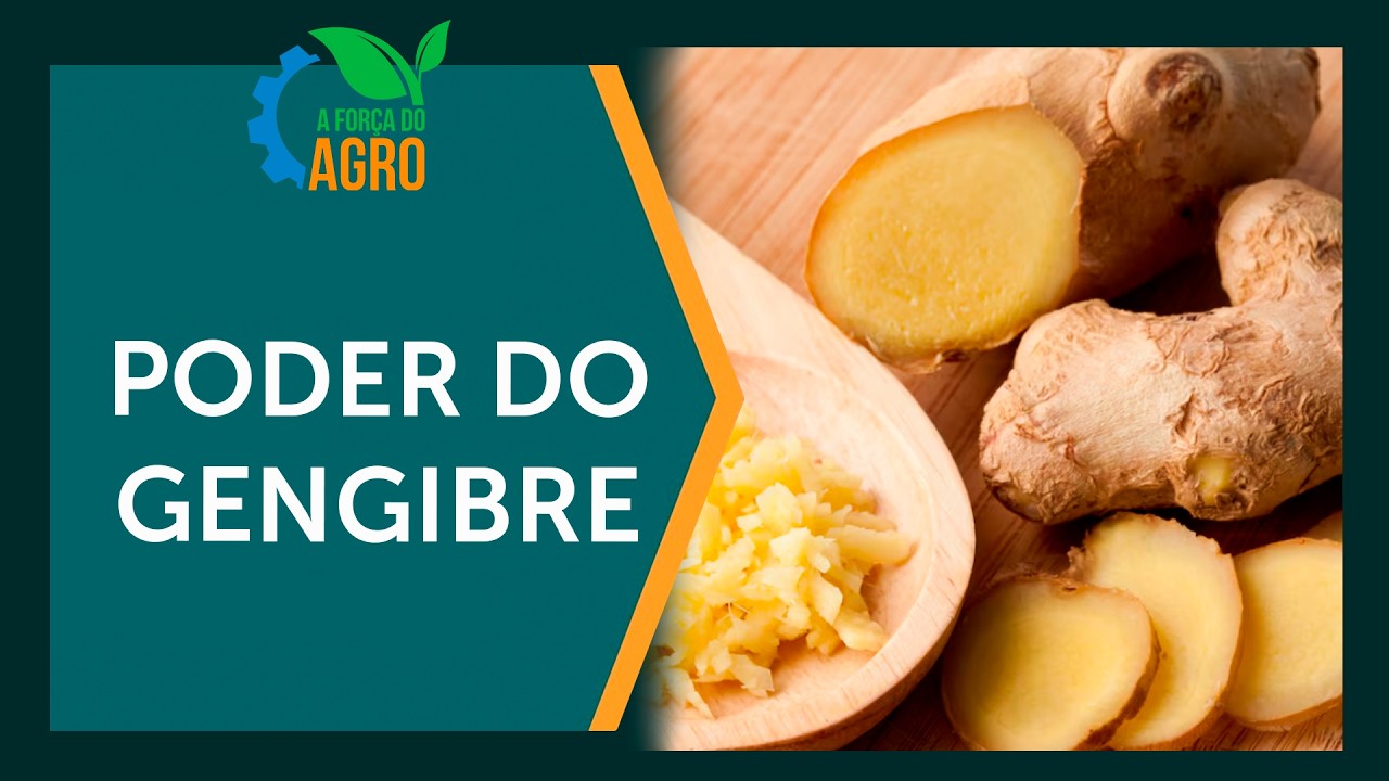 O poder oculto do gengibre para sua saúde e bem-estar - A Força do Agro