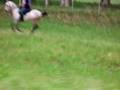 videos de ENDURANCE ARRECIFES ARGENTINA 40 KM