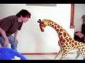 My Magical Giraffe!