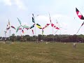 Windmills at Dumfries Park