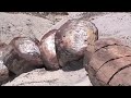Petrified Forest National Park/ Meteor Crater