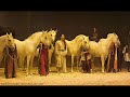 Cavalia film